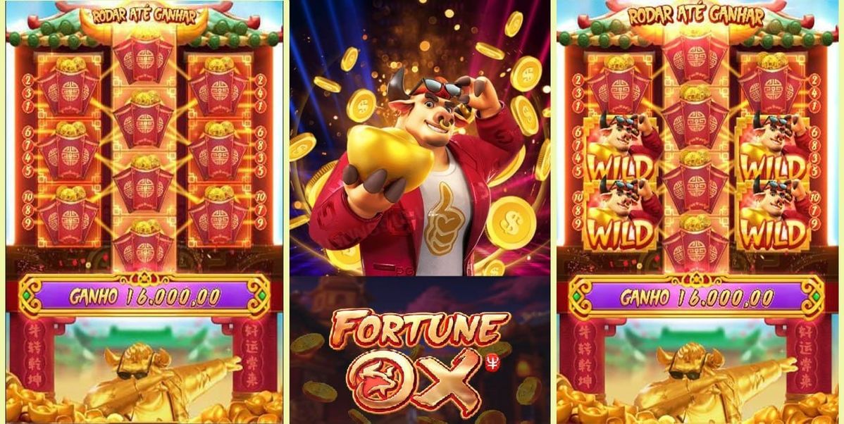 CasumoCasino کیسینو میں سلاٹ کھیلنا شروع کریں۔